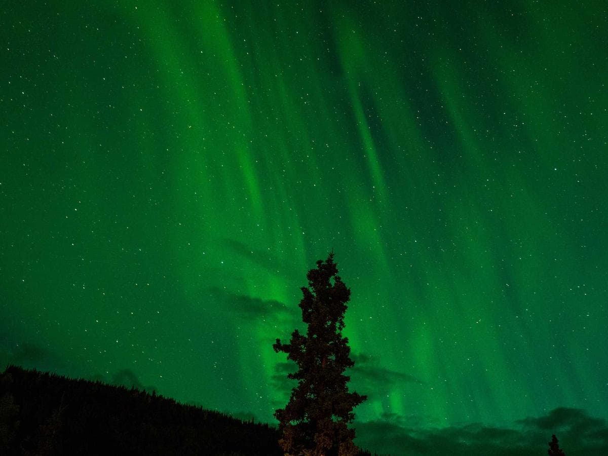 Airless pistole AX-500 detail