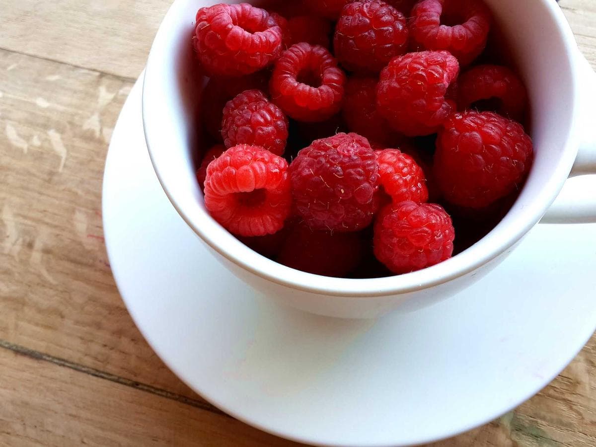 Lajnovaci barva Stadium White 15L detail