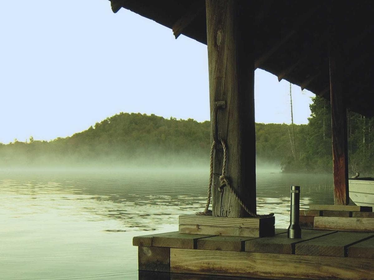 Cistic traveho postriku BioClean detail