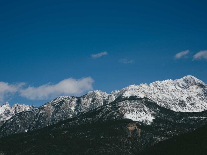 Tmely 1K Elastic Oak