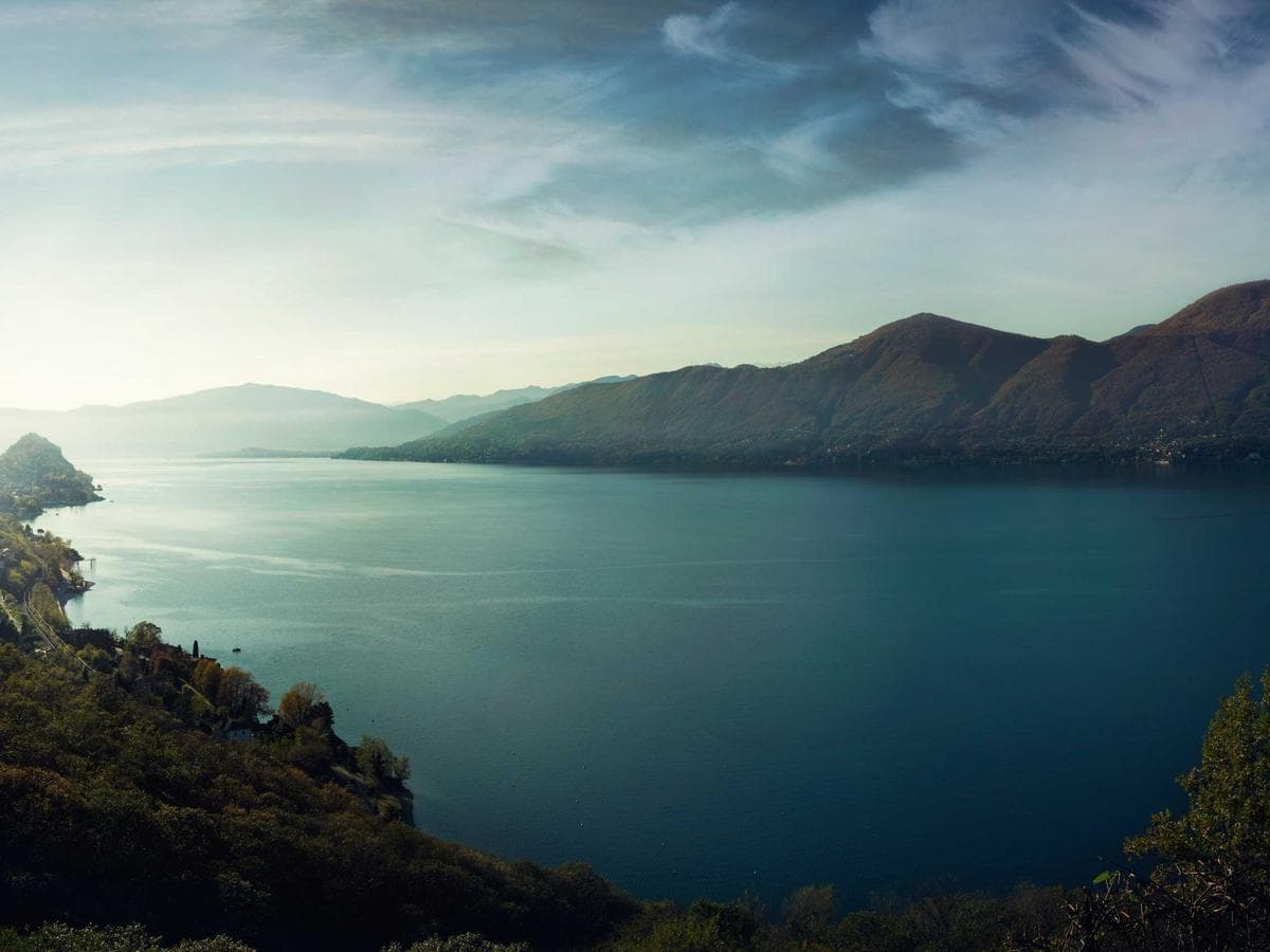 Tmely 1K Elastic Oak detail