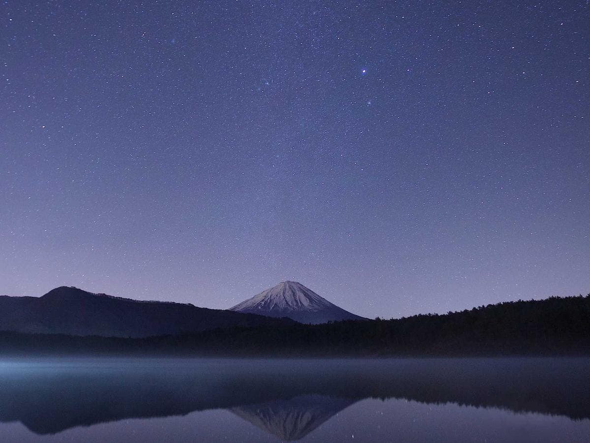 Tmely 1K Elastic Walnut hlavni obrazek