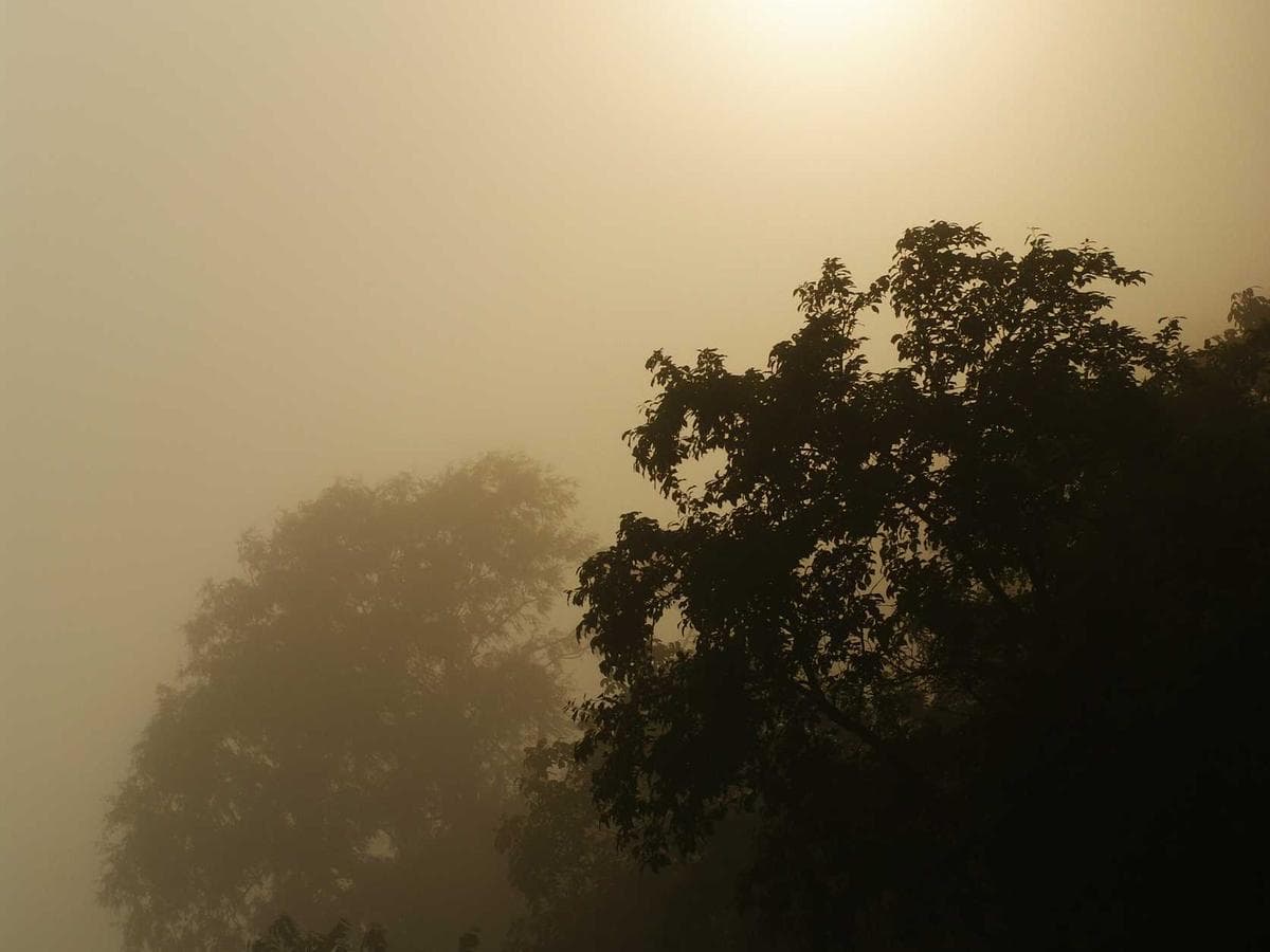 Tmely 2K Fine Finish detail