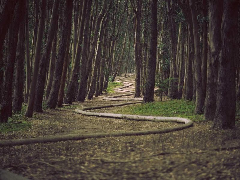 Odmastece Luxurious 050