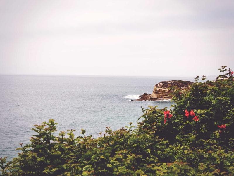 Respiratory Rustic 054