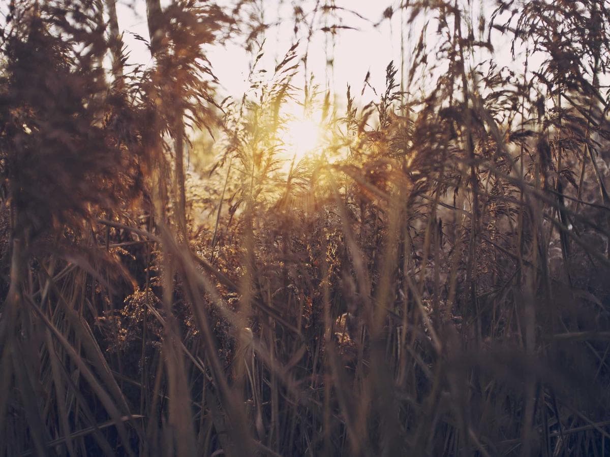 Trysky Gorgeous 057 hlavni obrazek