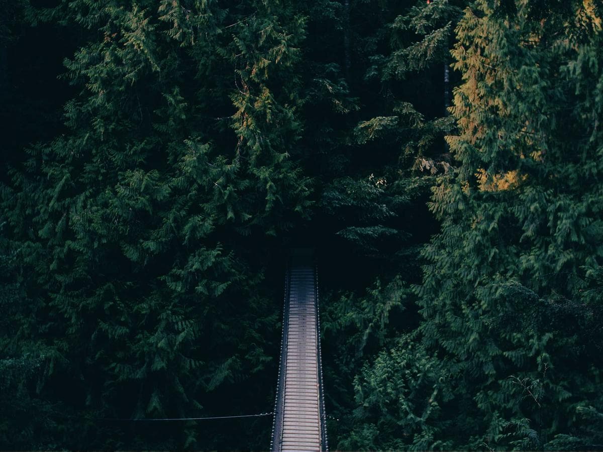 Tmely 1K Electronic 063 hlavni obrazek