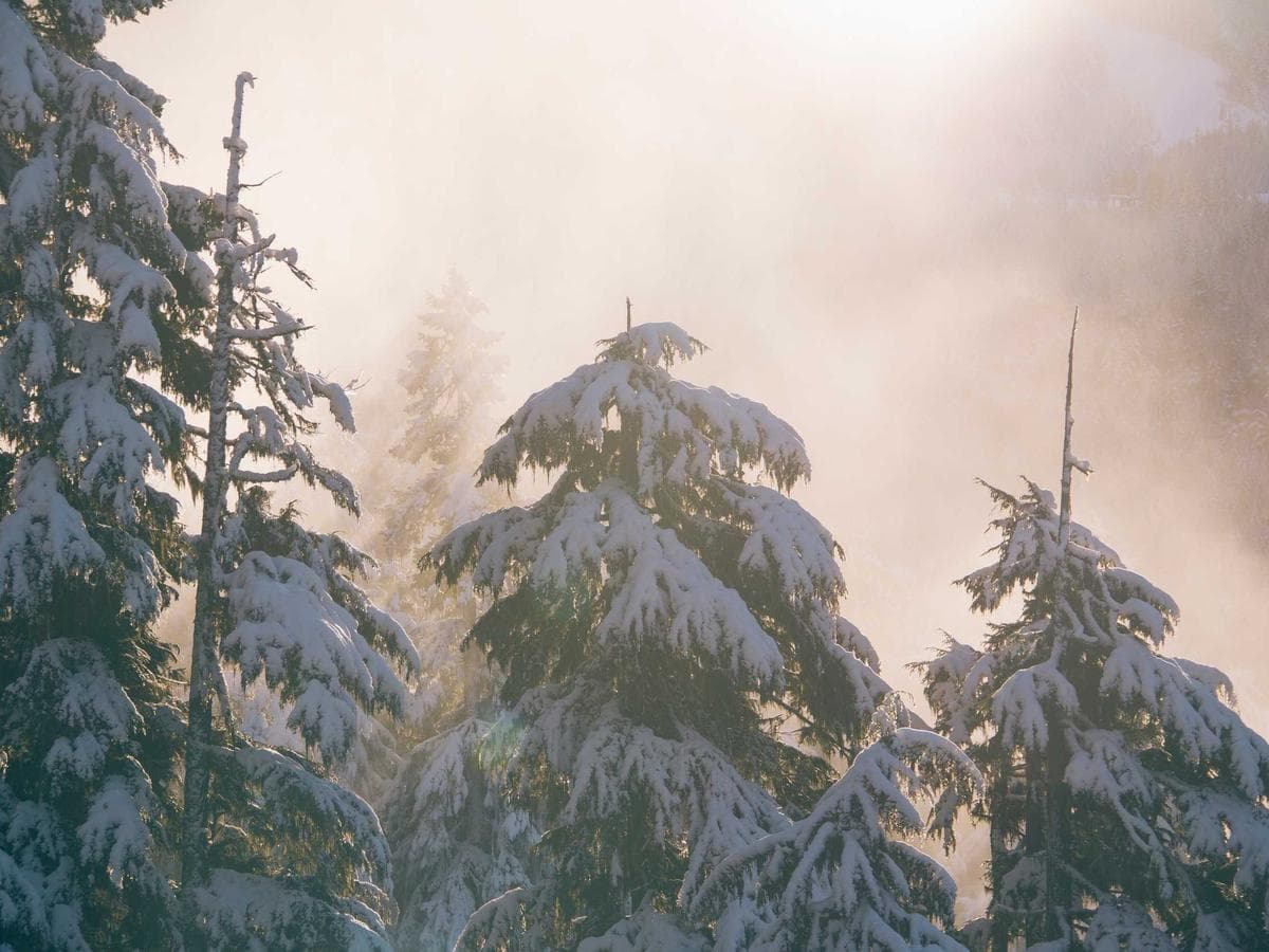 2K PUR barevne Soft 067 detail