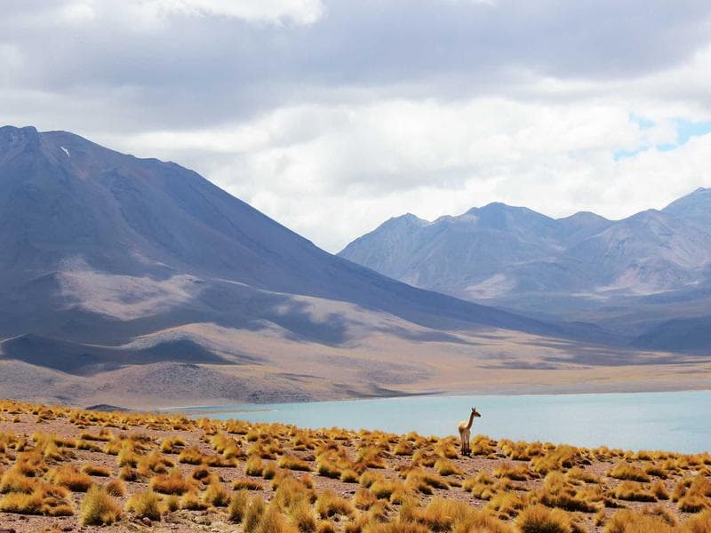 Rucni pistole Sleek 074