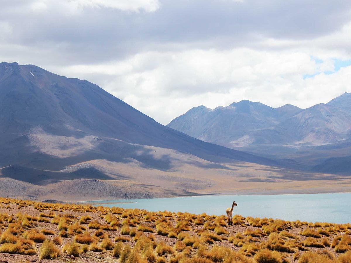 Brusne papiry Intelligent 079 hlavni obrazek