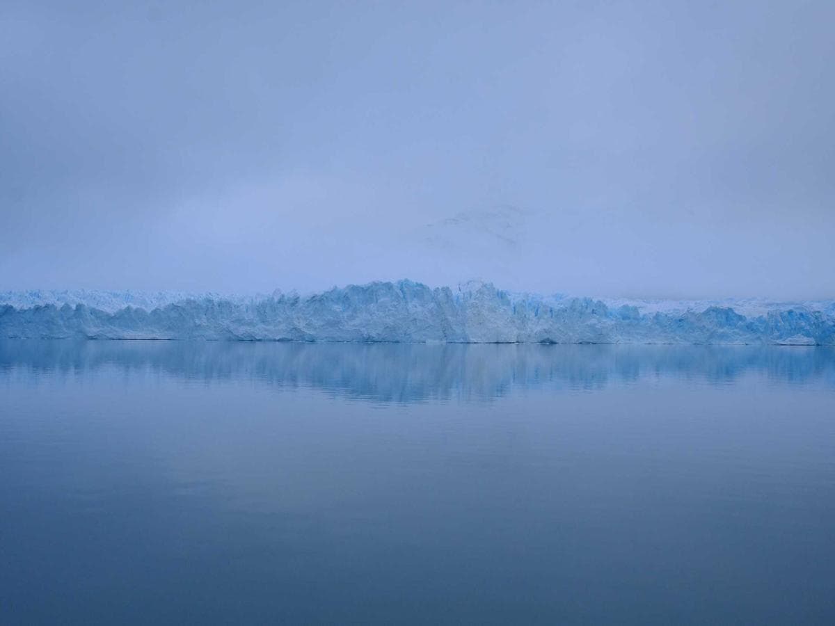 Aktivatory Electronic 083 detail