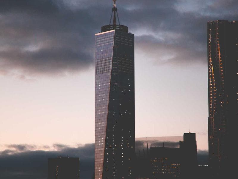 Respiratory Practical 084