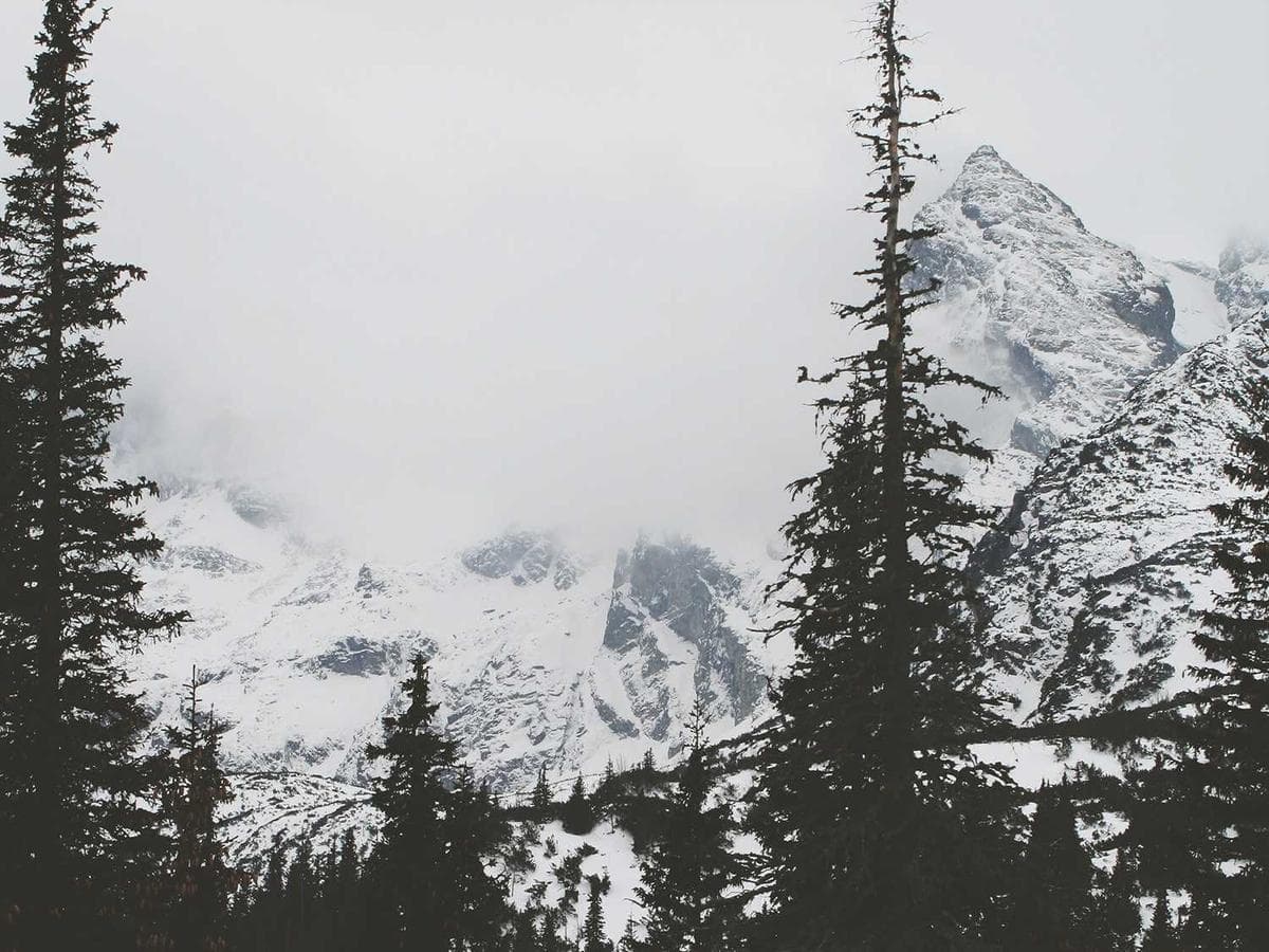 Tesneni Sleek 088 hlavni obrazek