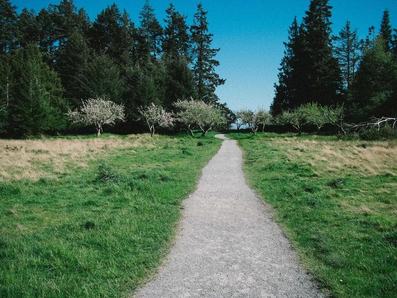 Tmely 2K polyester Bespoke 094