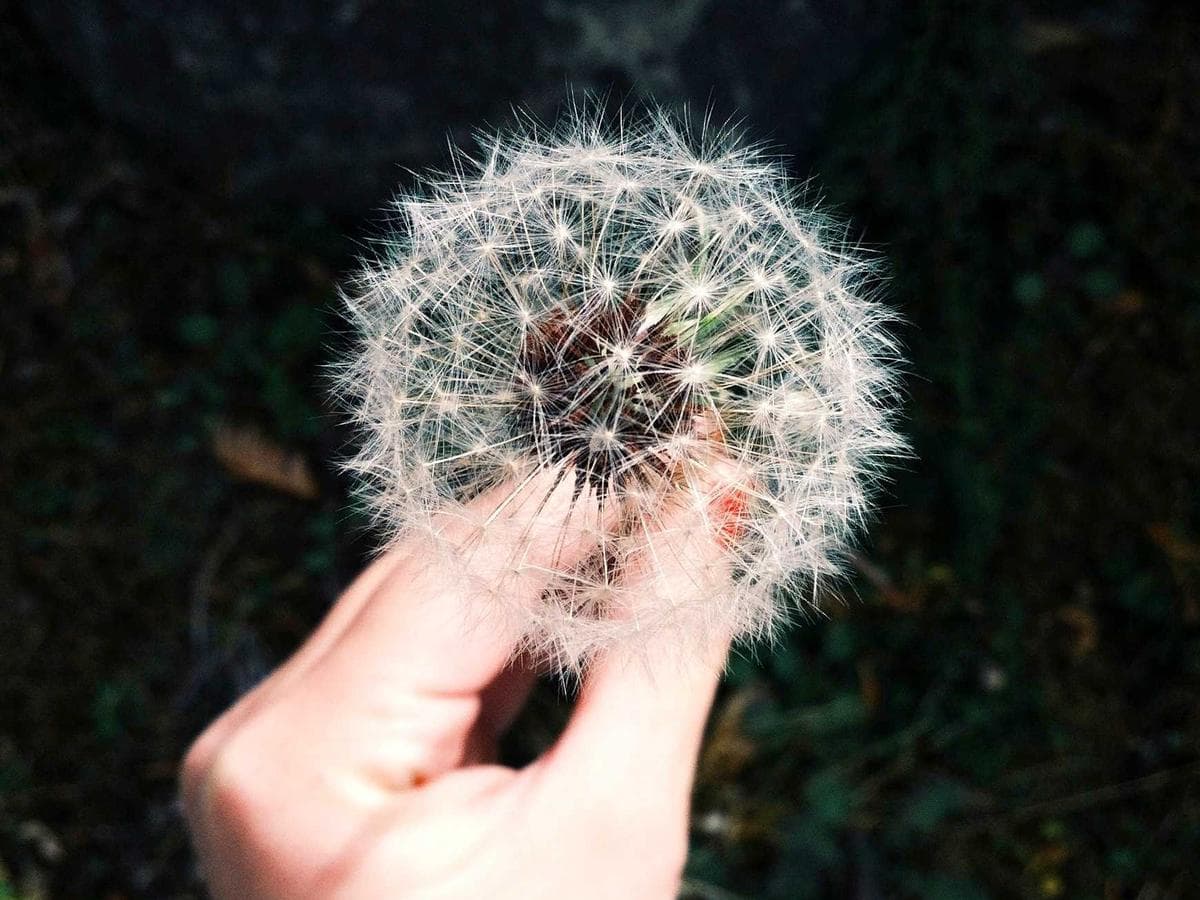 Airmix Sleek 103 hlavni obrazek