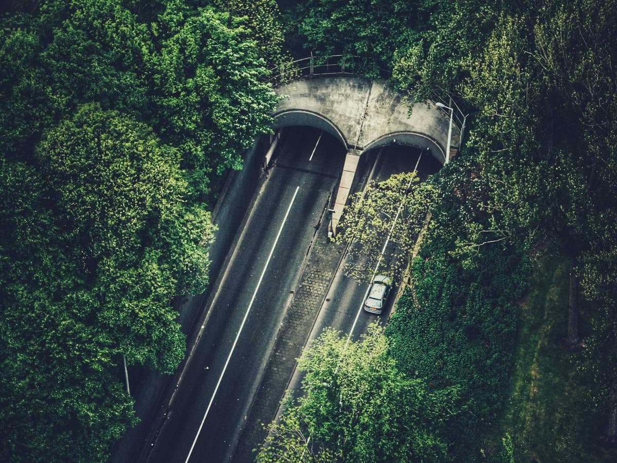 Odmastece Fresh 110 detail