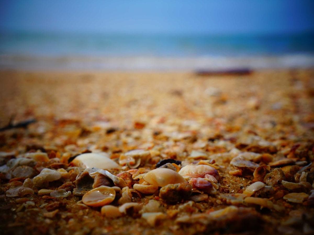 Tmely na kov Generic 125 detail