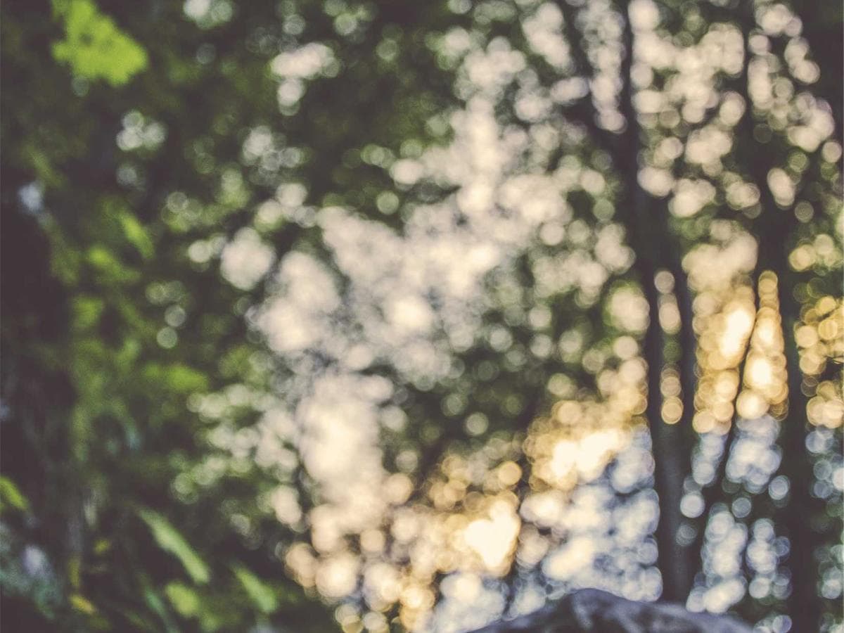 2K PUR transparent Sleek 126 detail