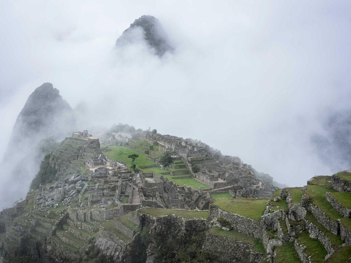 Airless Gorgeous 132 detail