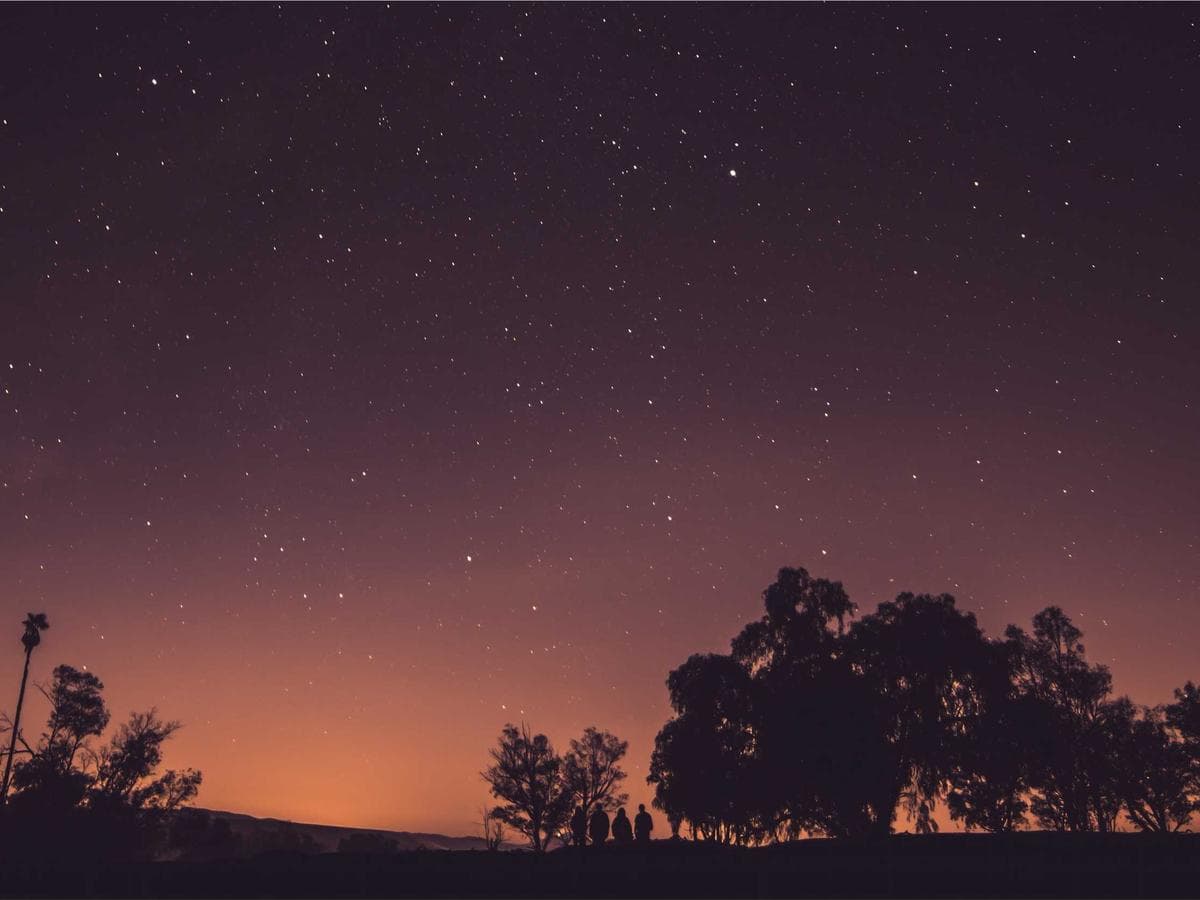 Brusne kotouce Frozen 138 detail