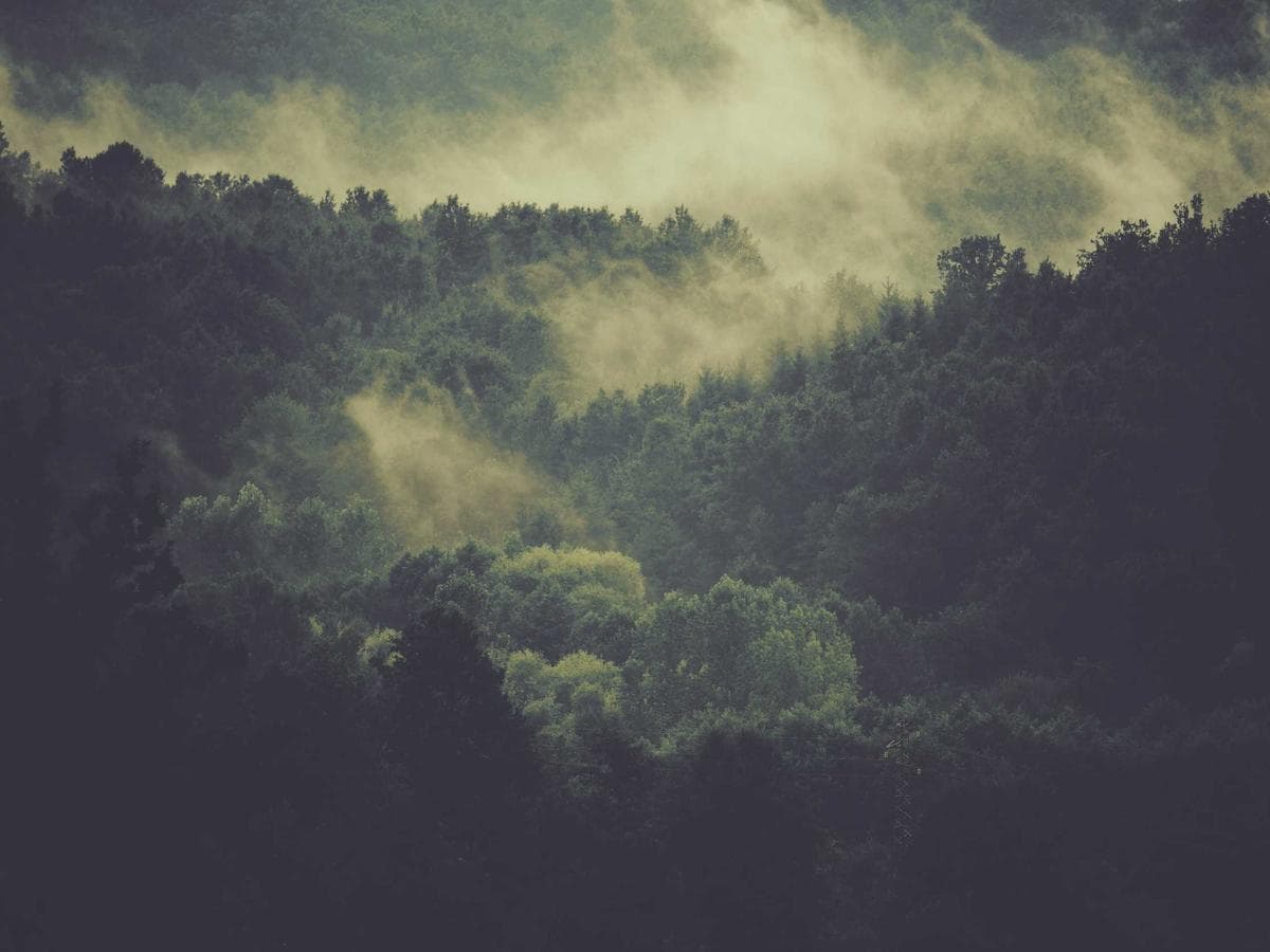 Lajnovaci barvy Electronic 150 detail