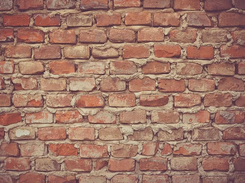 Tmely 2K polyester Fantastic 154