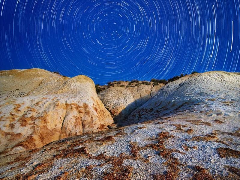 Cistice Gorgeous 172