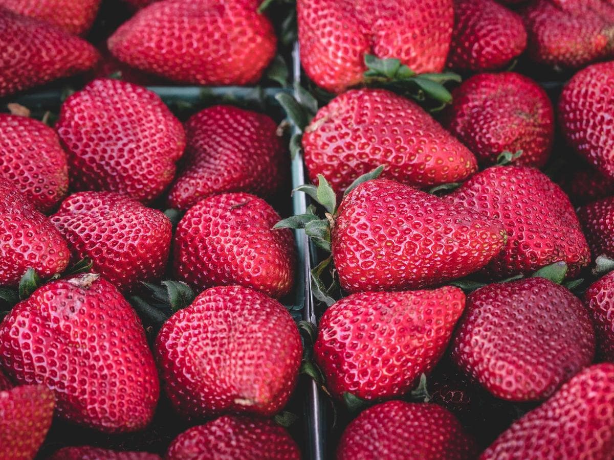 Ochrana sluchu Practical 176 detail