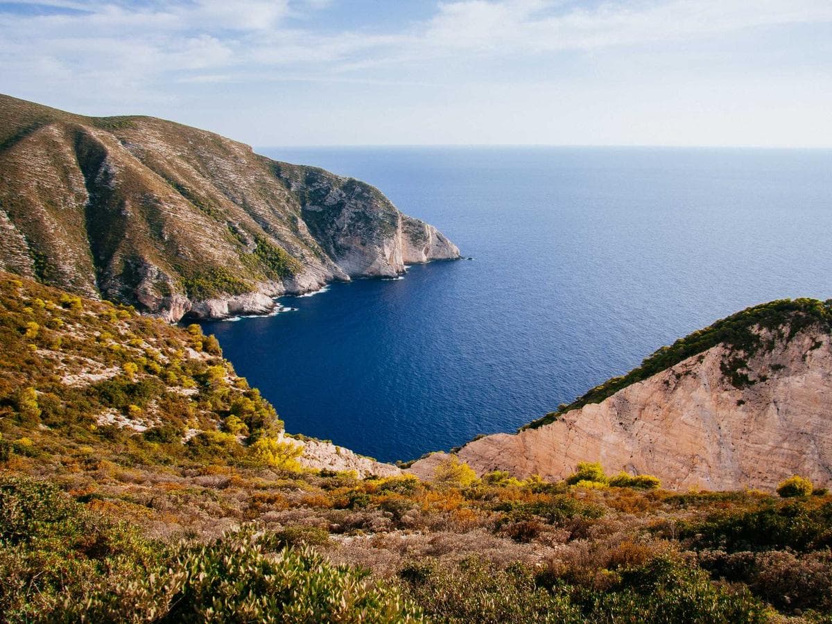 Lajnovaci voziky Ergonomic 181 detail