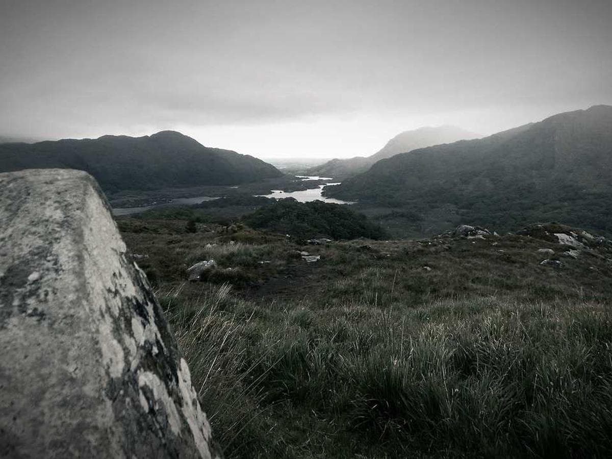 Tmely na kov Bespoke 185 detail