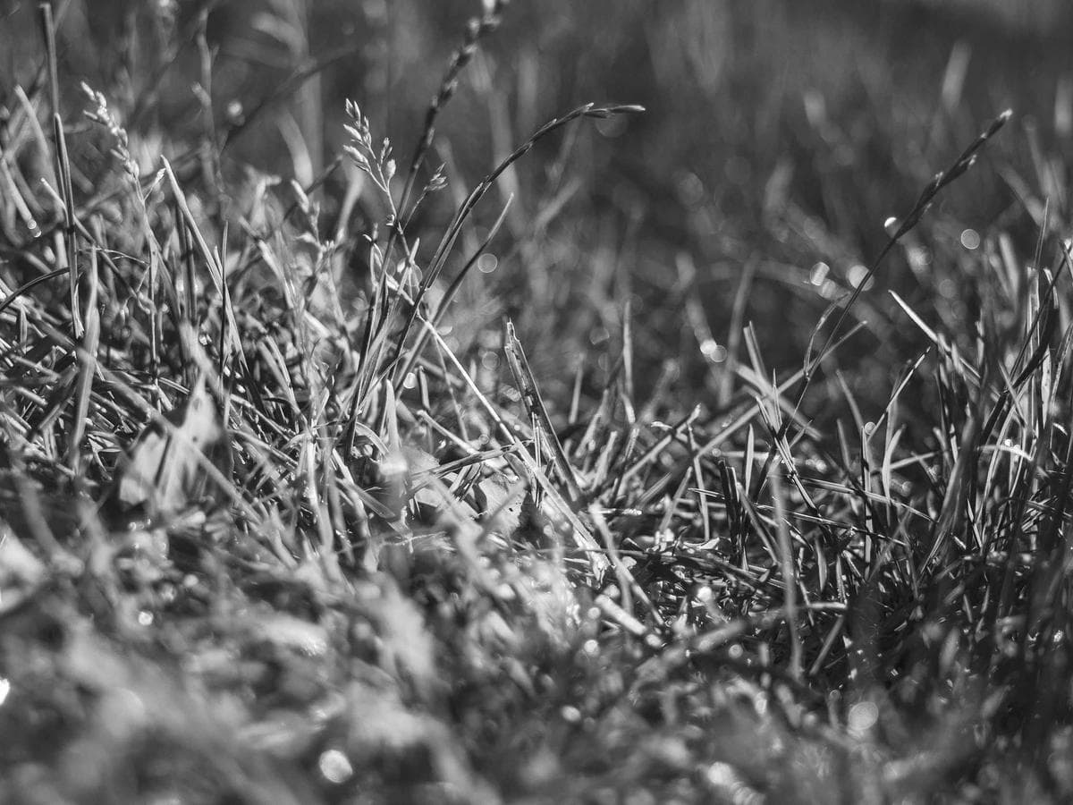 Aktivatory Handcrafted 203 hlavni obrazek