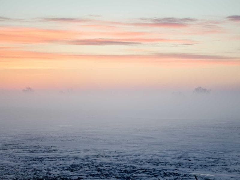 Respiratory Refined 204