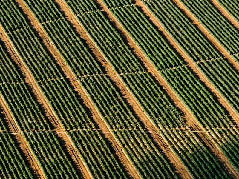 Tmely na kov Fresh 215