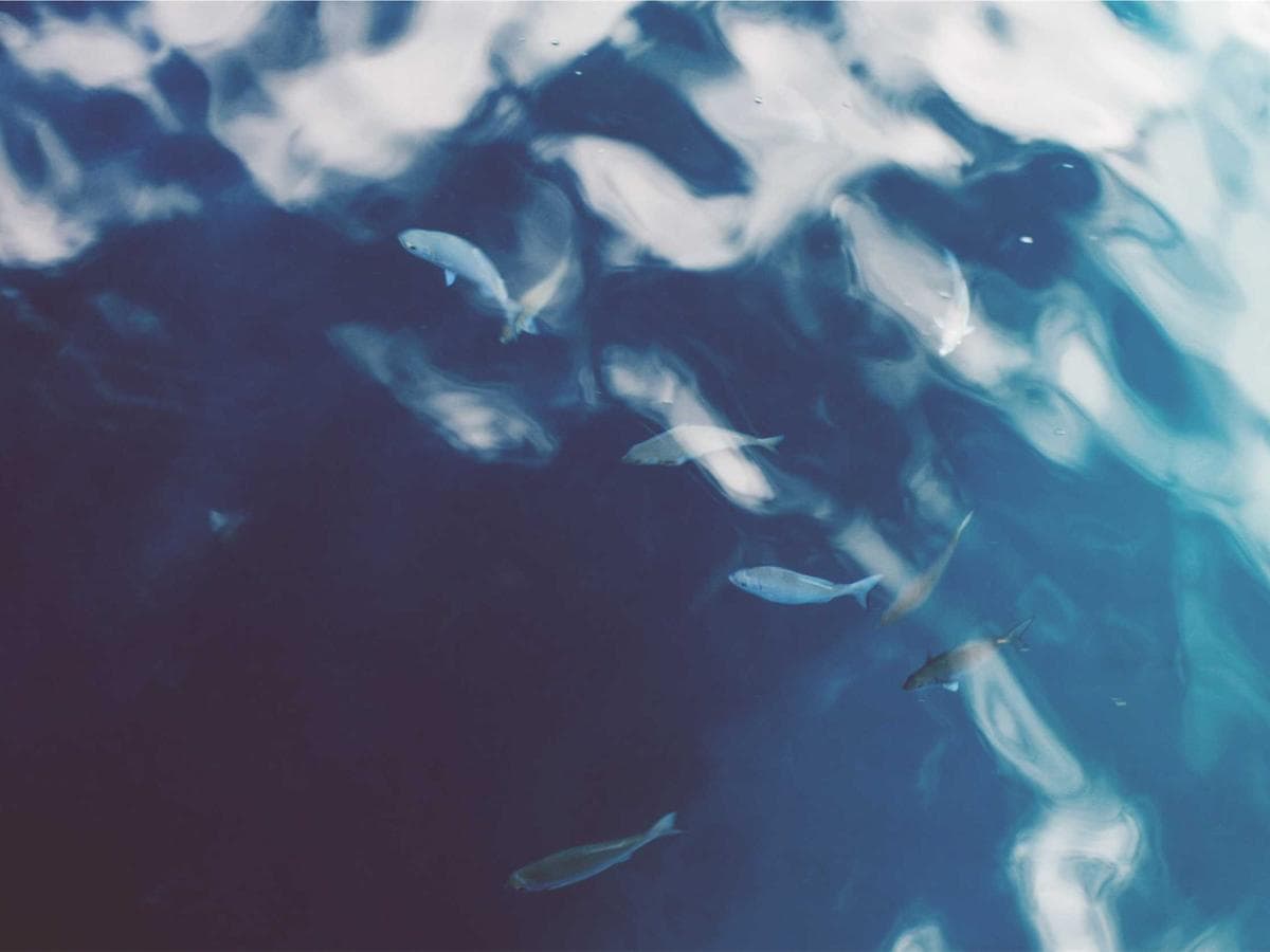 1K vodoureditelne Frozen 218 detail