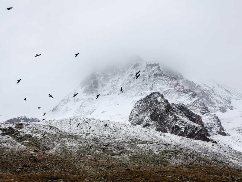 Brusne kotouce Handcrafted 228