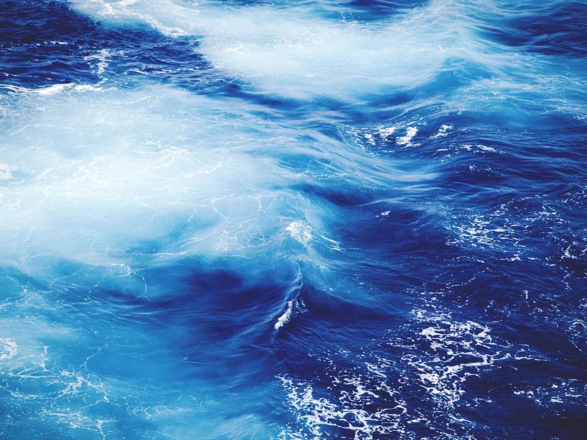 Brusne papiry Fresh 229 detail