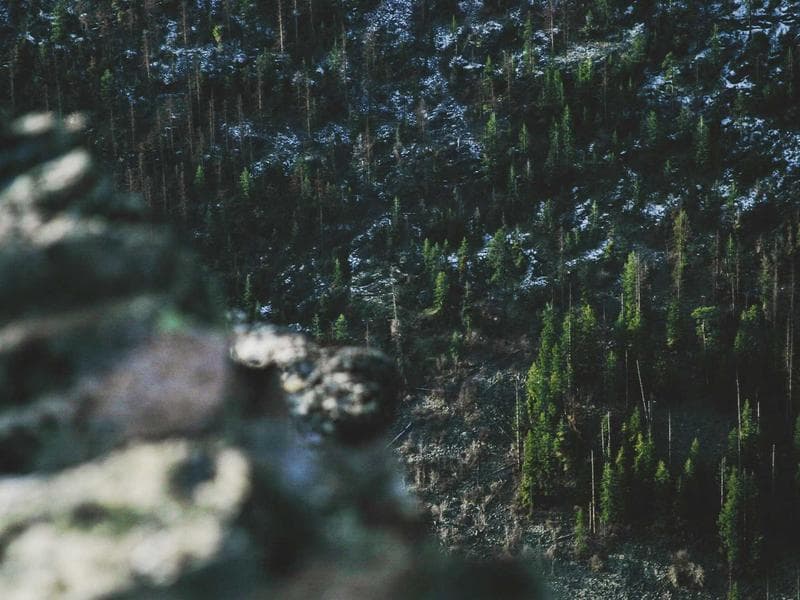 Aktivatory Fantastic 233