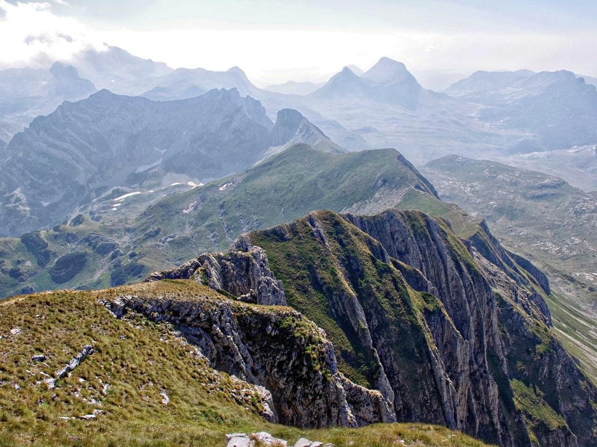 Aktivatory Fantastic 233 detail