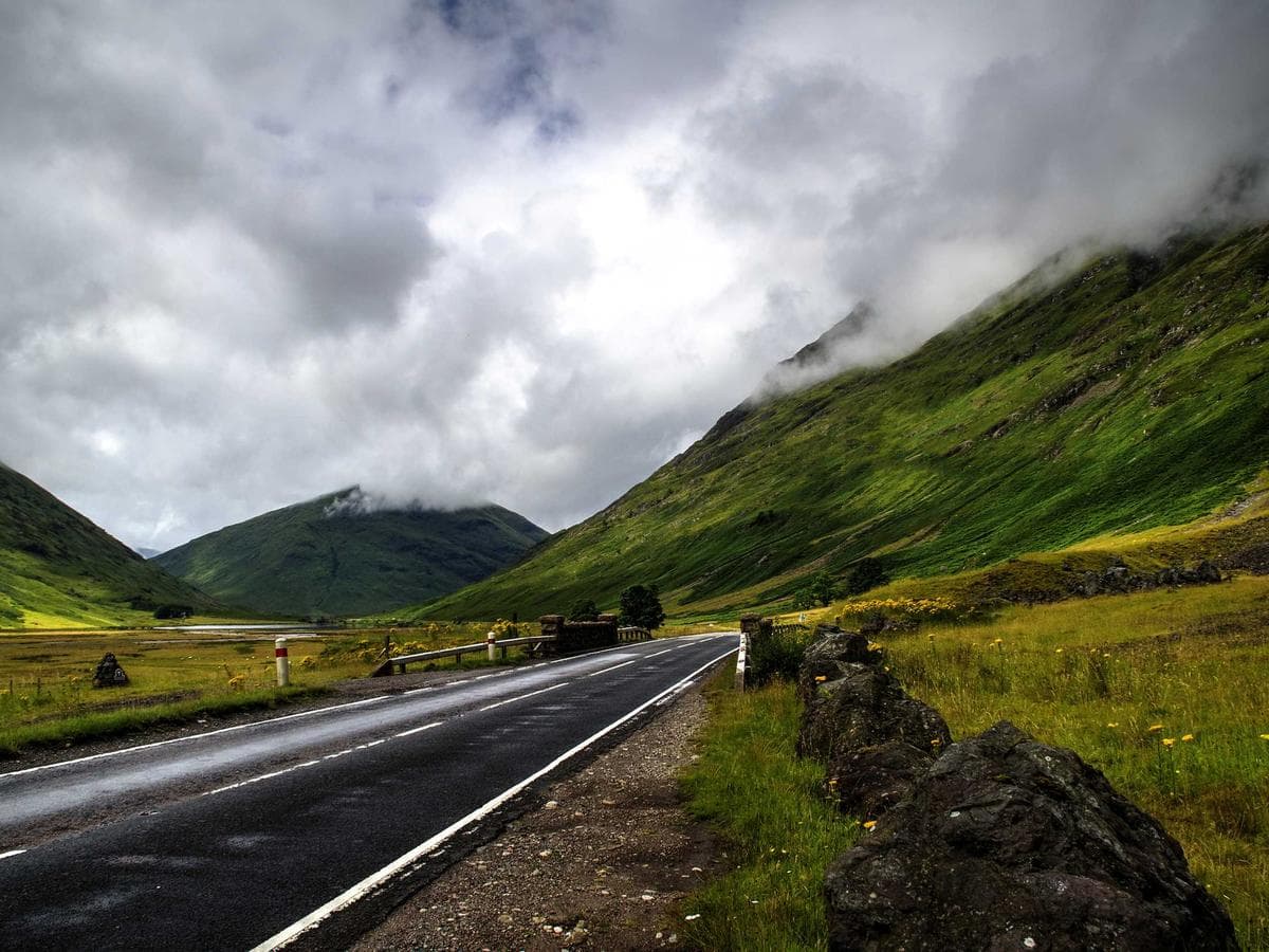 Respiratory Generic 234 detail