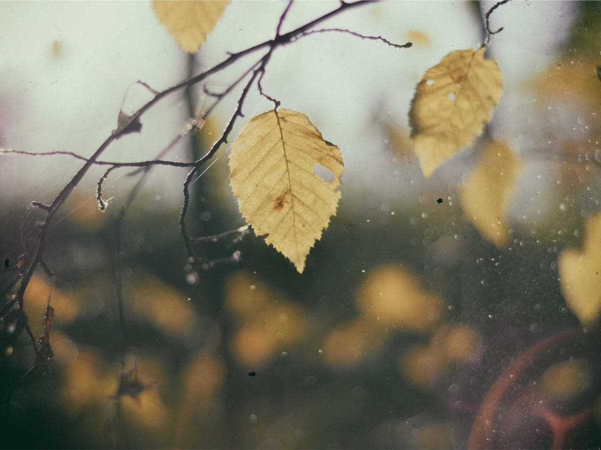 Znackovaci prislusenstvi Handcrafted 242 detail