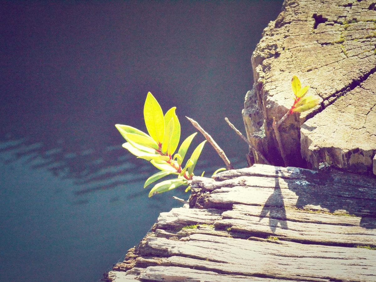 Antikorozni ochrana Fresh 251 detail