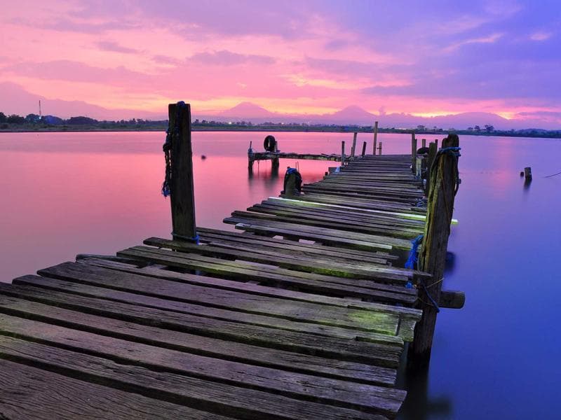 Rucni pistole Ergonomic 254