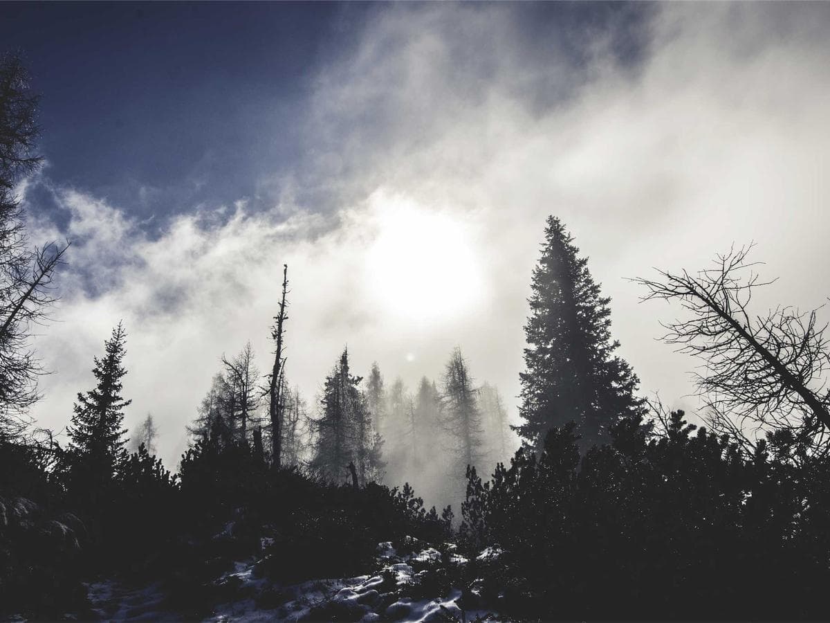 Odstranovace Electronic 261 detail