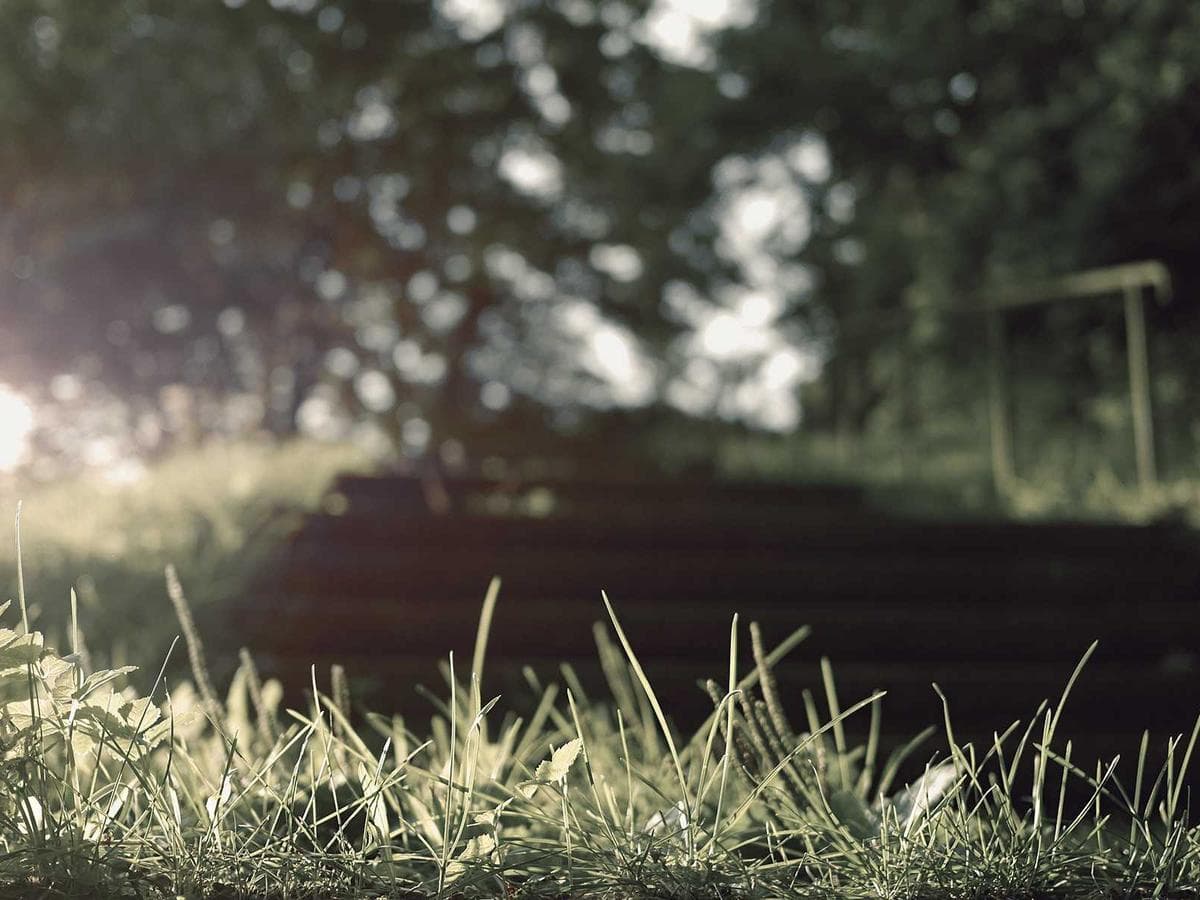 Aktivatory Generic 263 hlavni obrazek