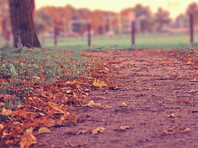 Tmely na kov Incredible 275