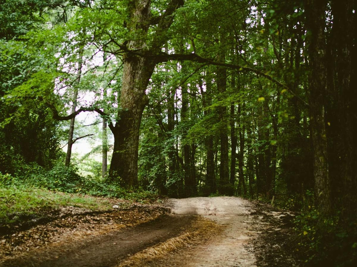 Vrchni nater Practical 280 detail