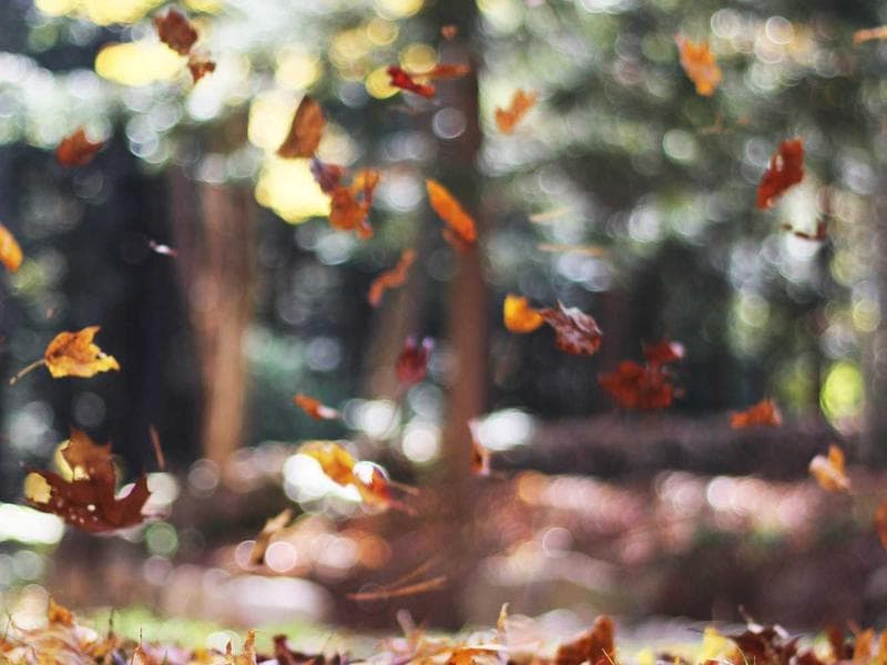 Rucni pistole Intelligent 284