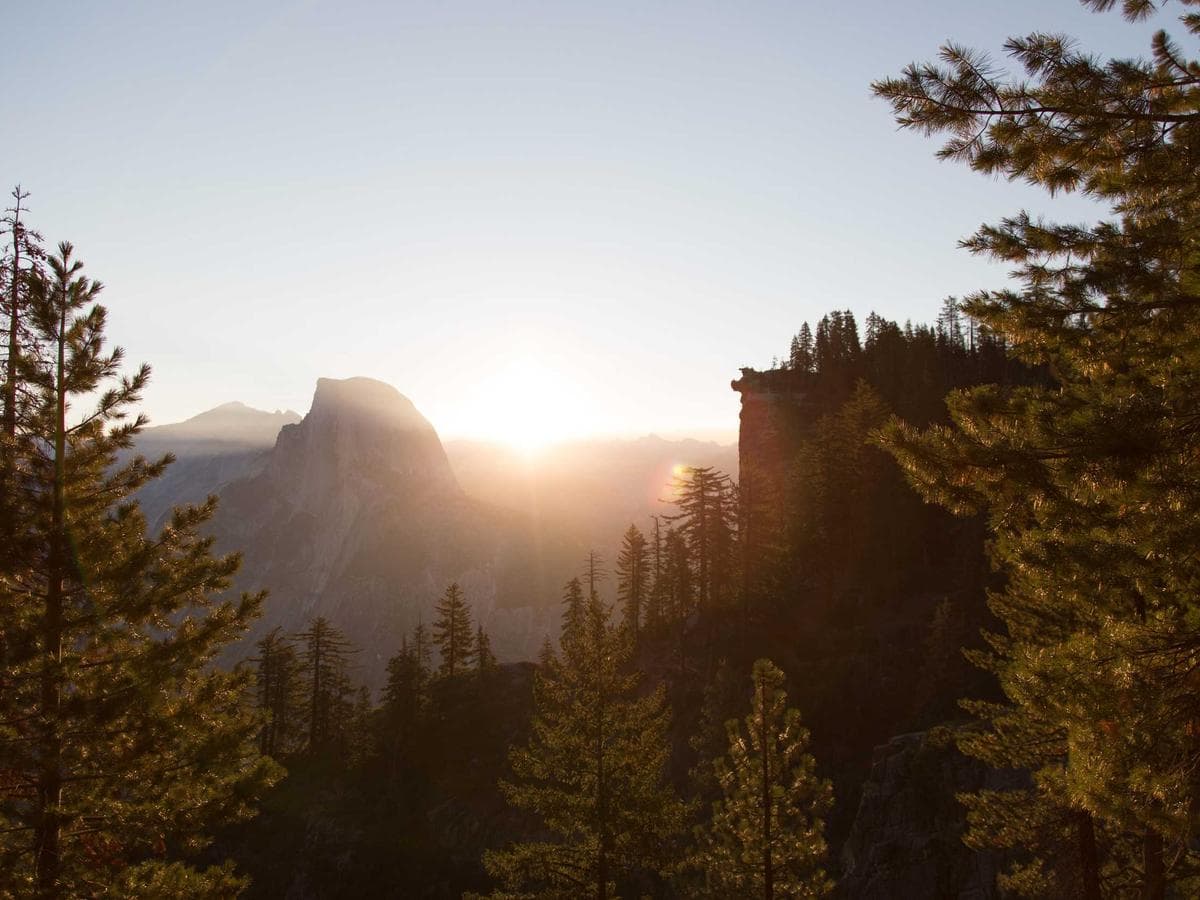 Odstranovace Ergonomic 291 hlavni obrazek