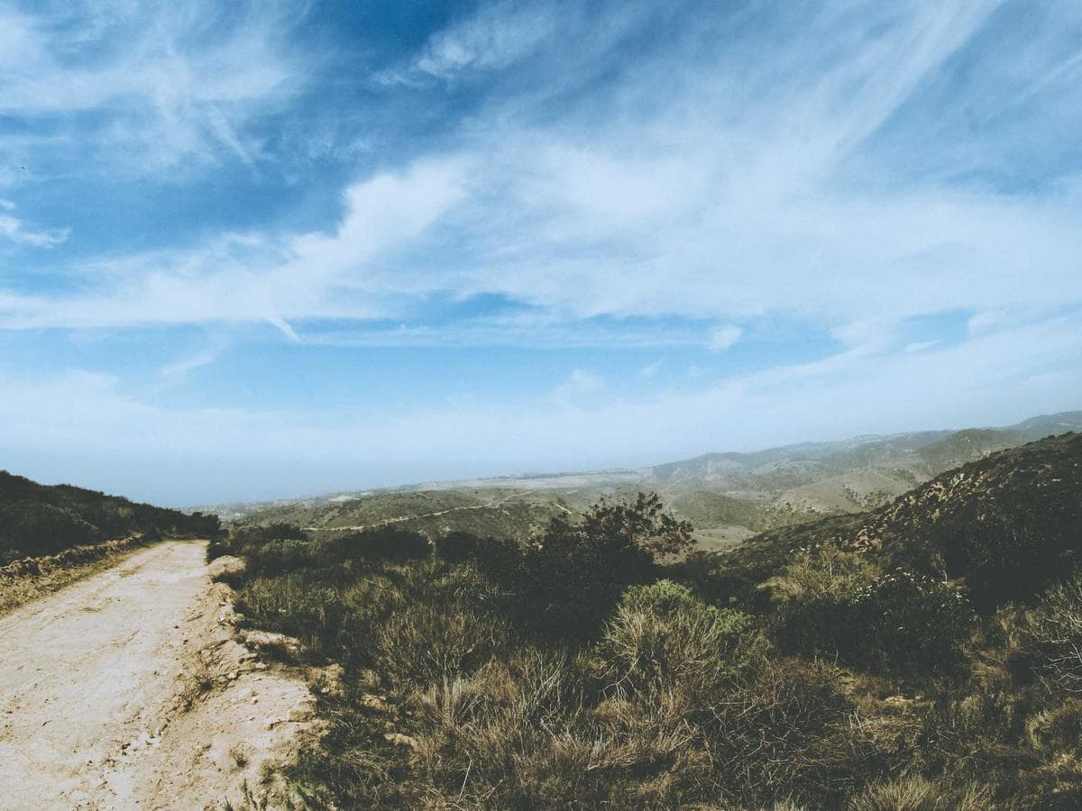 Ochrana sluchu Ergonomic 296 detail